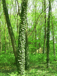 Similar image 221936