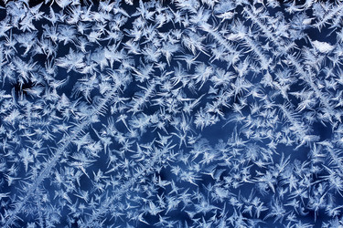 Similar image 221950