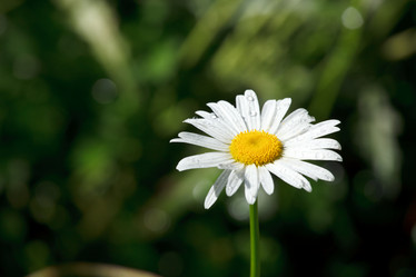 Similar image 221971