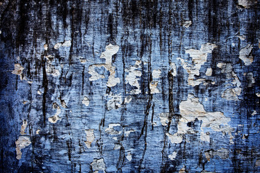 Similar image 221979