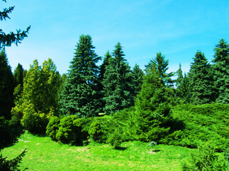 Similar image 222029