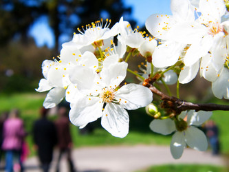 Similar image 222034