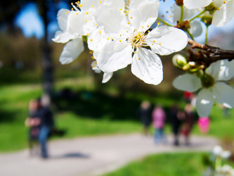 Similar image 222035