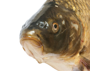 Similar image 222037