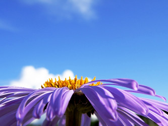 Similar image 222056