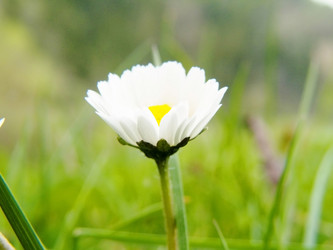 Similar image 222068