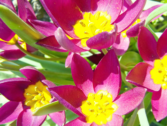 Similar image 222159