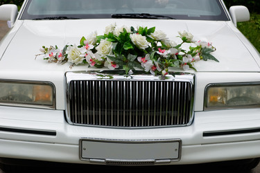 Similar image 222168