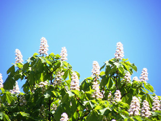 Similar image 222170