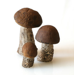 Similar image 222173