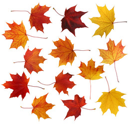 Similar image 222180