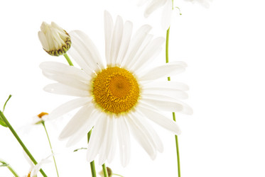 Similar image 222194