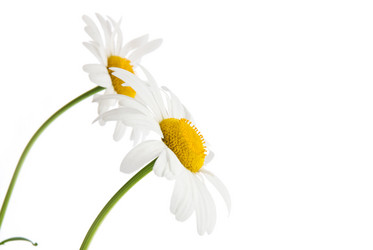 Similar image 222195