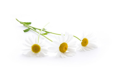 Similar image 222196