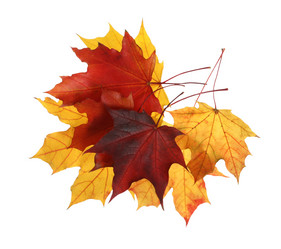 Similar image 222213