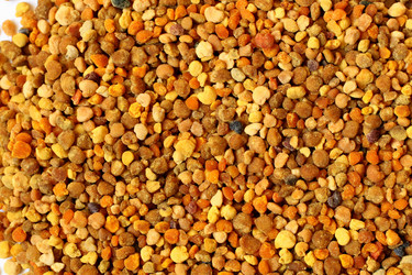 Similar image 222227