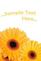 Similar image 222259