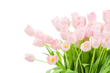 Similar image 222262