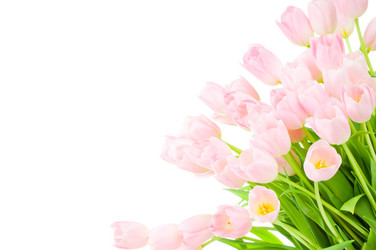 Similar image 222263