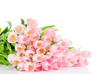 Similar image 222264