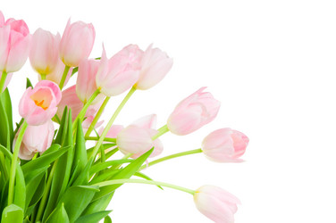 Similar image 222267