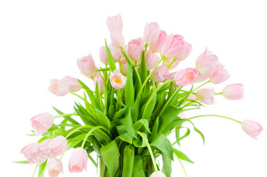 Similar image 222270