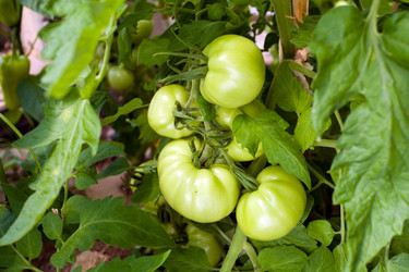 Similar image 222278