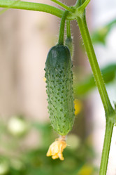 Similar image 222284