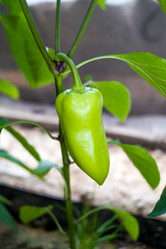 Similar image 222291