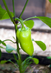 Similar image 222293