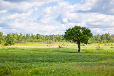 Similar image 222311