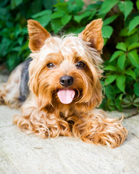 Similar image 222314