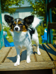 Similar image 222318