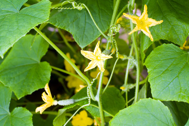 Similar image 222341