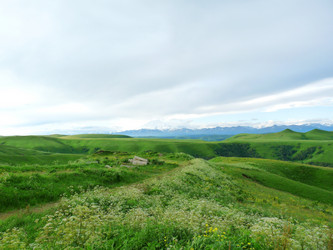 Similar image 222359