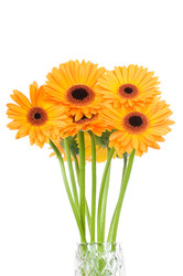 Similar image 222371