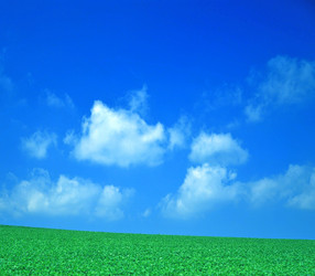 Similar image 222372