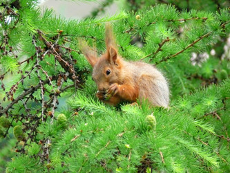 Similar image 222393