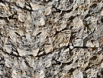 Similar image 222444