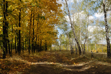 Similar image 222513