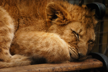 Similar image 222521