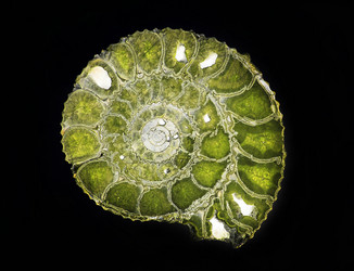 Similar image 222550