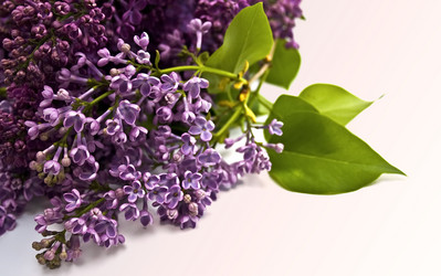 Similar image 222556