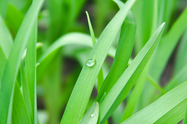 Similar image 222557