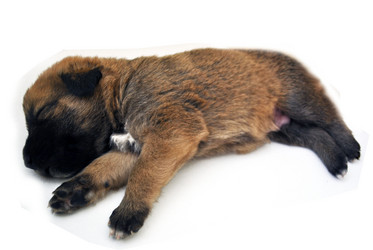 Similar image 222575