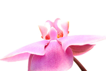 Similar image 222614