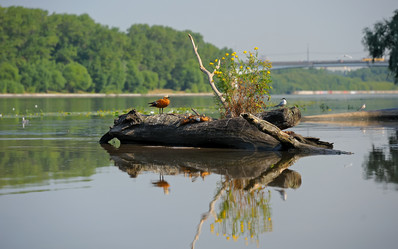 Similar image 222628