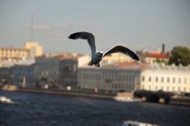 Similar image 222629