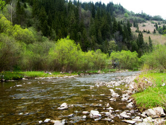 Similar image 222641