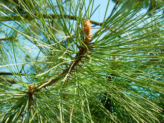 Similar image 222645